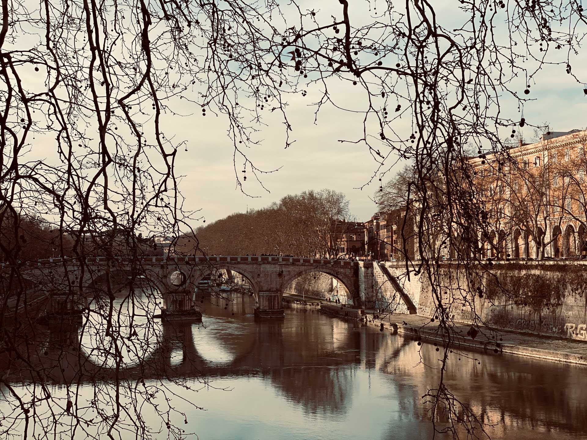 Nikis Collection Trastevere background